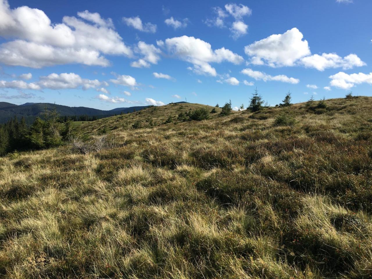 Барви Карпат Vorokhta Esterno foto